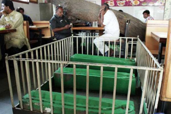 மரத்தடியில் மரத்தடியில்