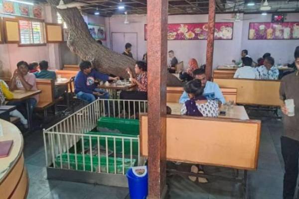 ஆஃபர் ப்ரீ ஆஃபர் ப்ரீ