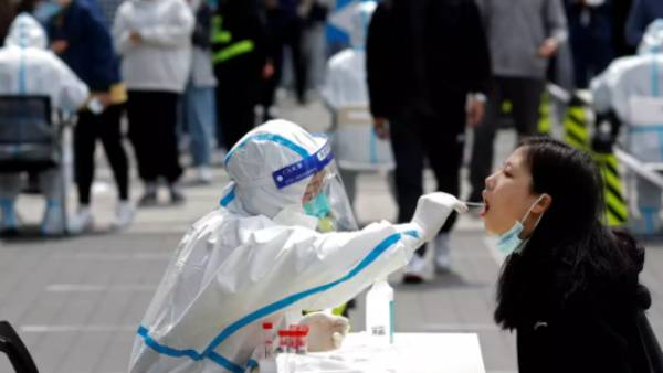 2 ஆண்டு முடக்கம்