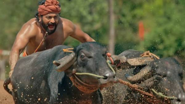  பஞ்சுருளியும் குளிகாவும் 
