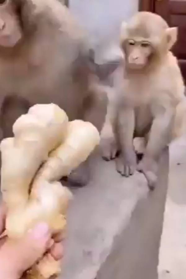  ரசிகர் பட்டாளம்