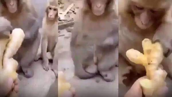  டெஸ்ட்டிங்