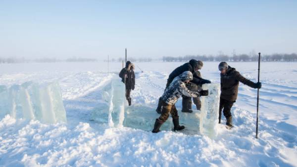  புதைந்து கிடந்த வைரஸ்