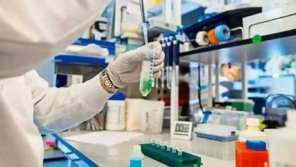  பெரிய பாதிப்பு