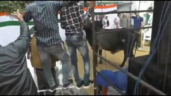 வெளியான வீடியோ வெளியான வீடியோ