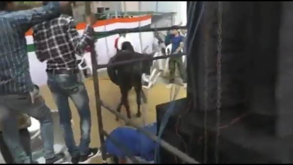 பாஜகவின் சதியா? பாஜகவின் சதியா?