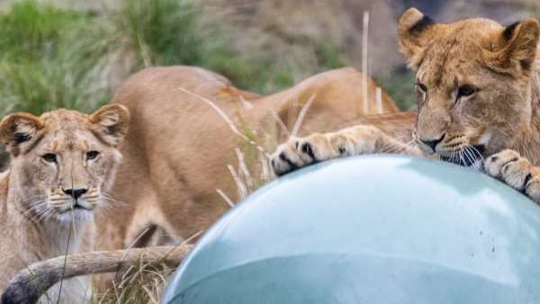 வெளியான 'பகீர்' அறிவிப்பு வெளியான 'பகீர்' அறிவிப்பு