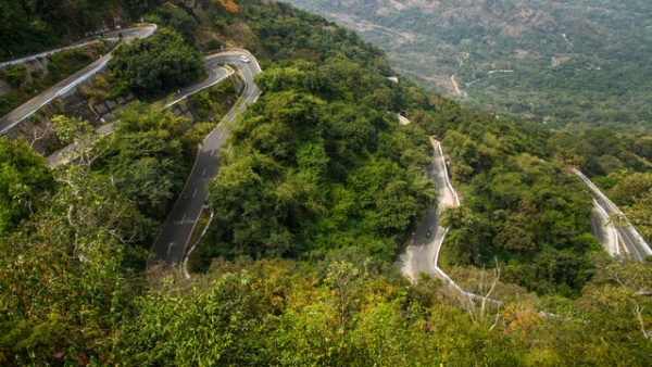 தேக்கு காடுகள்