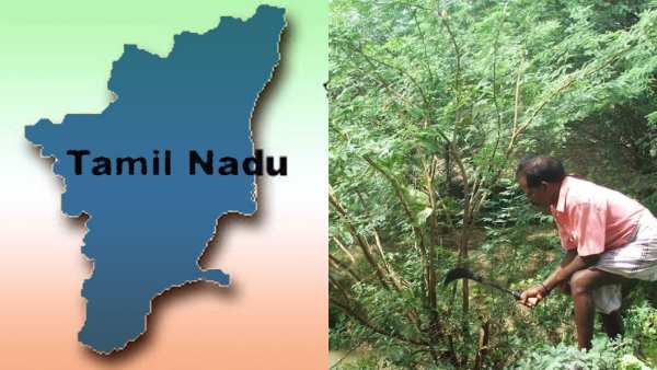 ஊரக வளர்ச்சி துறை அறிக்கை