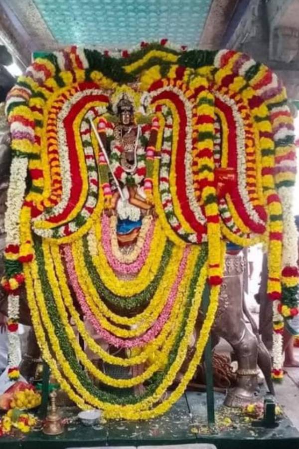 திருக்கல்யாண தேரோட்டம்