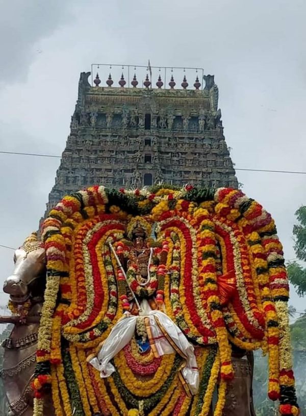 துலா ஸ்நானம் செய்த பலன் 