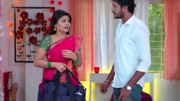 சகோதரியின் திருமணம்