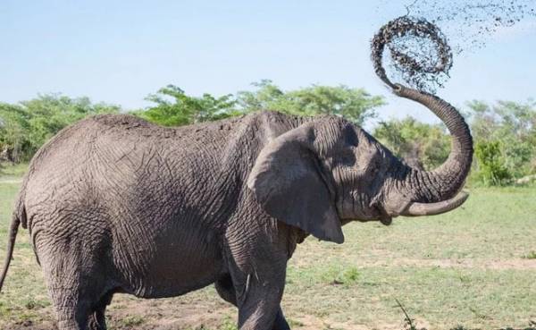 முந்திரி தோப்புக்குள் முந்திரி தோப்புக்குள்