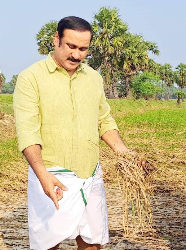 அன்புமணி ராமதாஸ் 