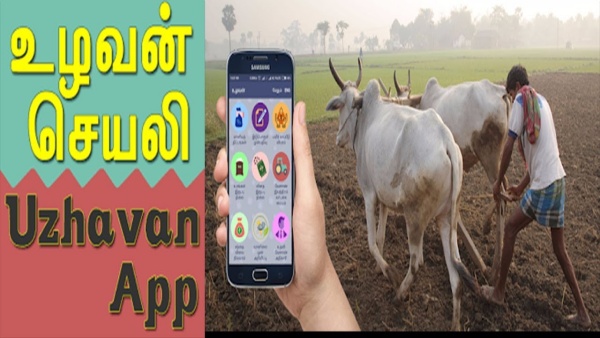 என் பண்ணை வழிகாட்டி