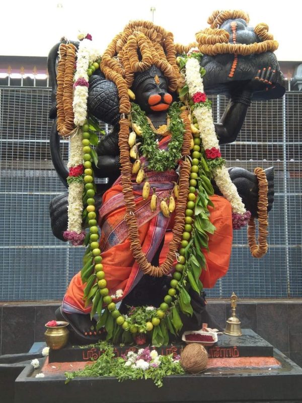 Hanuman Jayanthi Festival at Dhanwandri Arogya Peedam 