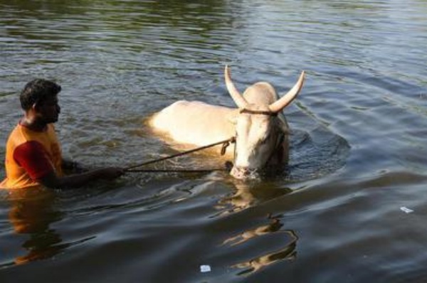 உணவுகள் முக்கியம்