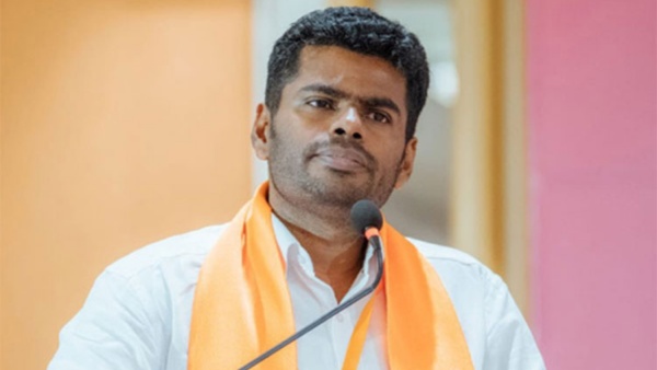 புத்தாண்டு பரிசை பாருங்கள்