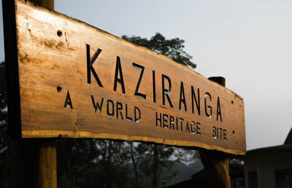 காசிரங்கா தேசிய பூங்கா காசிரங்கா தேசிய பூங்கா