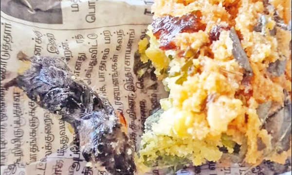 மசால் வடைக்குள் சுண்டெலி