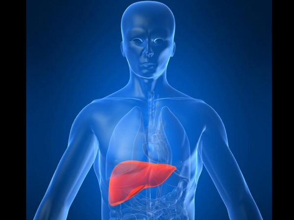 கல்லீரல் 