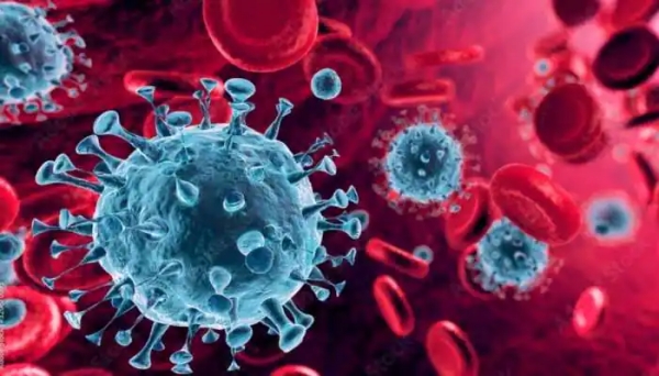 பிஎப் 7 வகை கொரோனா பிஎப் 7 வகை கொரோனா