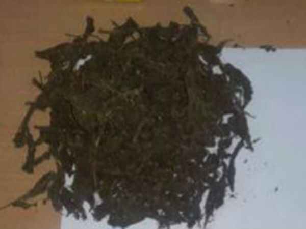 கஞ்சா போதையில்..