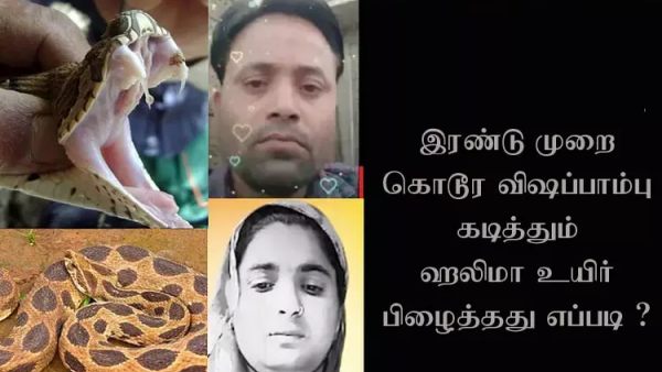  ரஸ்ஸல் வைப்பர்