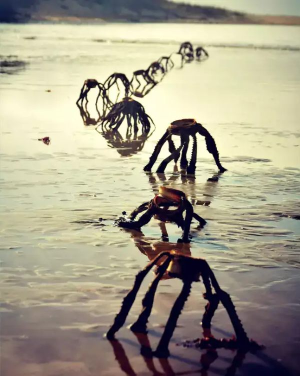 ஏலியன்ஸ் 