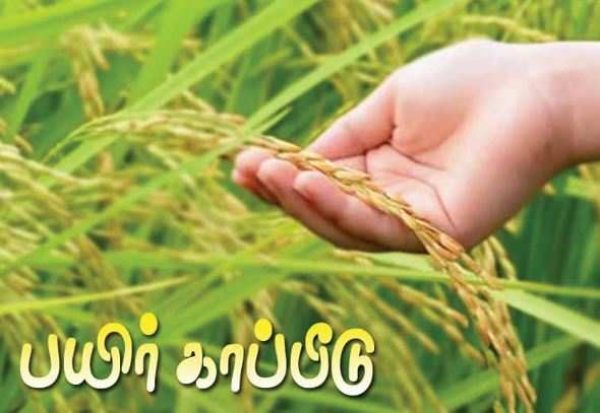  காப்பீடு பரப்பு 