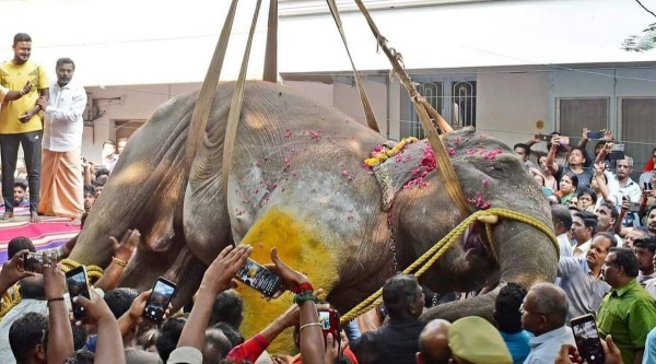 உயிரிழப்பு