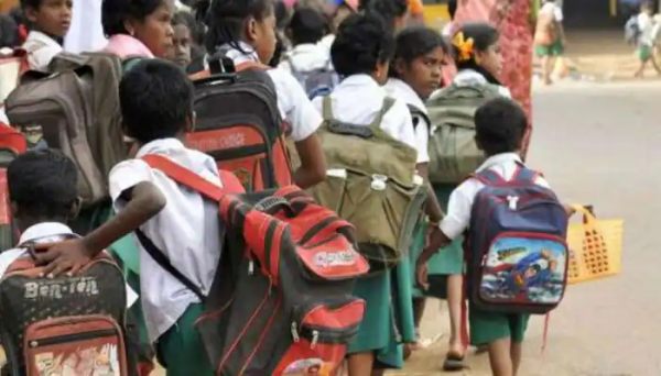 20 விழுக்காடு மாணவர்கள் 20 விழுக்காடு மாணவர்கள்