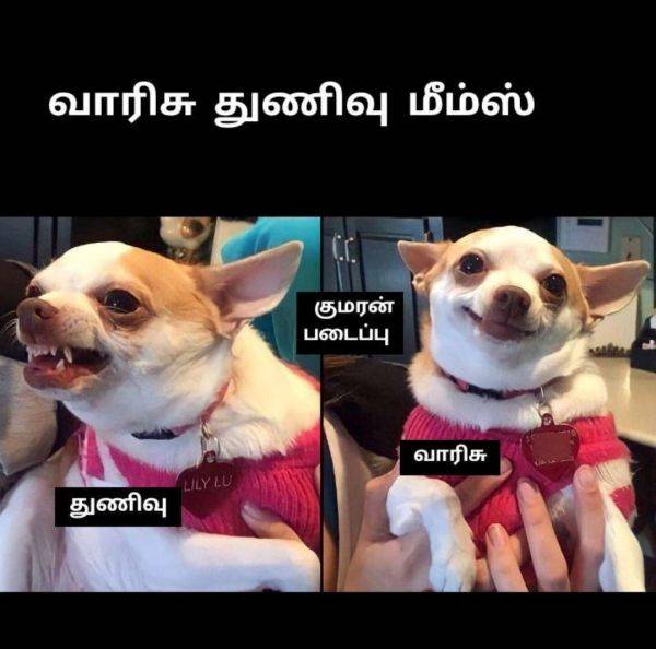 Funny memes collection on varisu and thunivu movie release