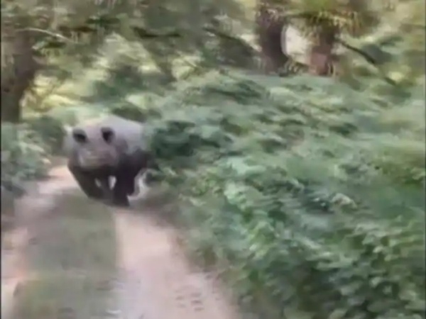 ஏற்கனவே பல முறை ஏற்கனவே பல முறை