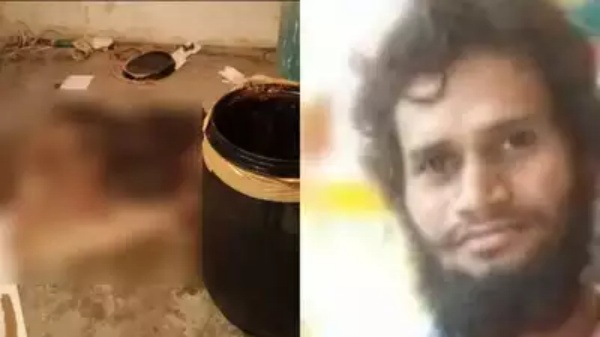 எலும்புக்கூடு எலும்புக்கூடு