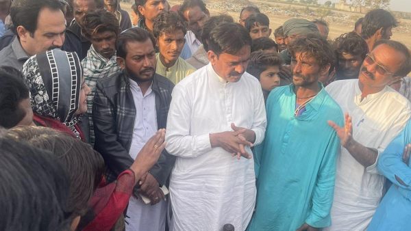  உறுதி செய்த செனட்டர் 