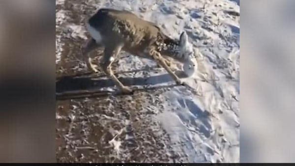 மைனஸ் 40 டிகிரி வரை வெப்ப நிலை 