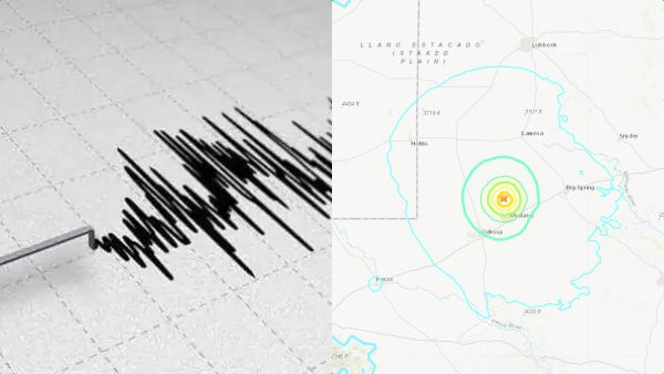 உயிர் பலி இல்லை என தகவல் 