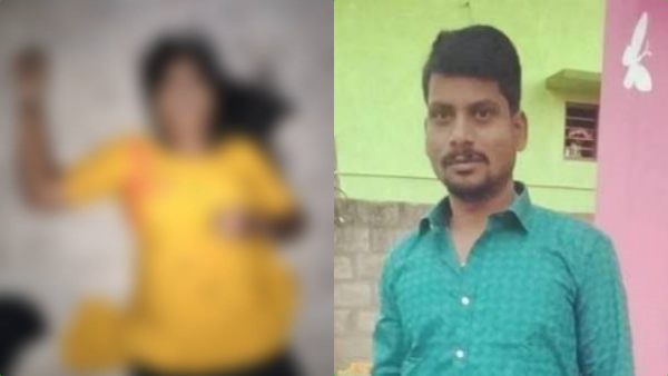 தென்னை மரம் தென்னை மரம்