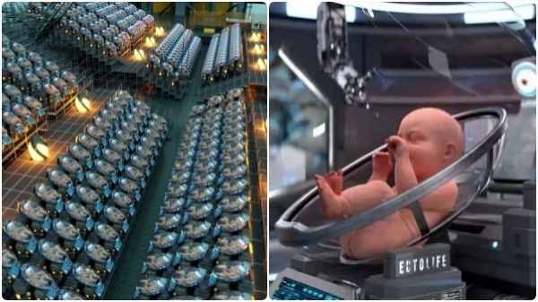 செயற்கை கரு வளர்ப்பு மையங்கள்