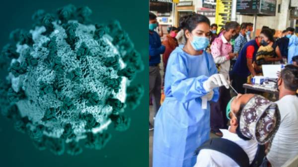 புதிய வகை கொரோனா இல்லை புதிய வகை கொரோனா இல்லை