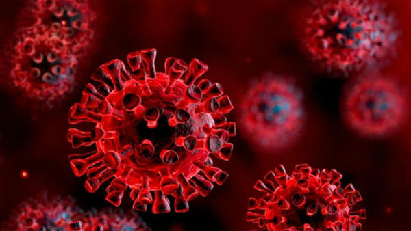 கொரானாவால் பாதிப்பு