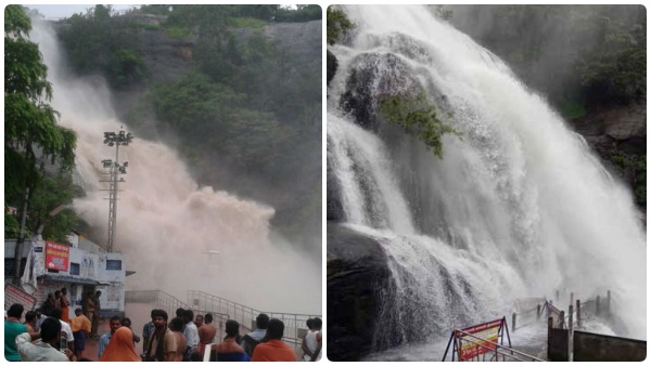 Heavy water flow in Tenkasi courtallam falls leads tourists not to take bath Heavy water flow in Tenkasi courtallam falls leads tourists not to take bath