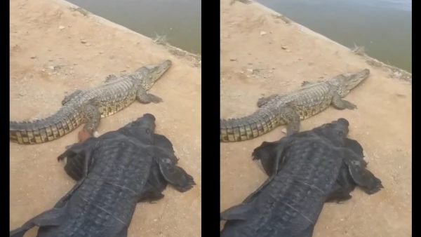  ஆஸ்திரேலிய யூடியூபர்