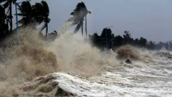 தானே தாக்கிய சோகம் 