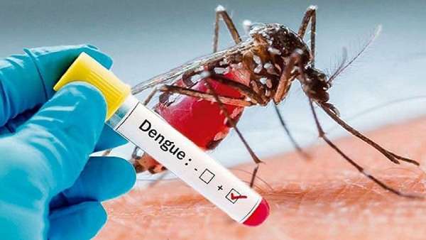  காட்டிக் கொடுத்த டெங்கு காய்ச்சல் 