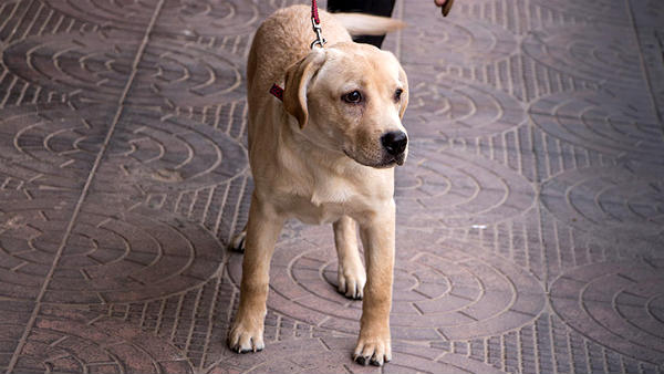  தலைமாட்டில்