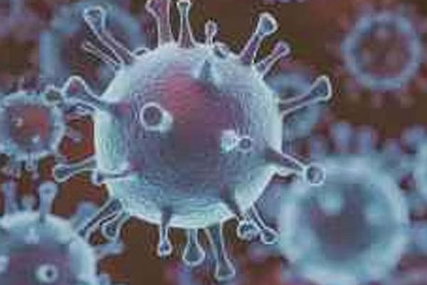 அதிவேகமாக பரவும் பிஎப் 7