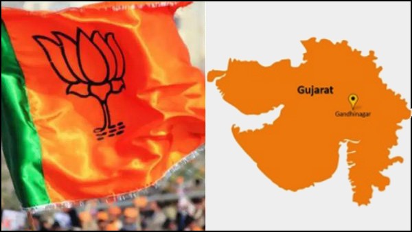  ஸ்டார் வேட்பாளர்கள்