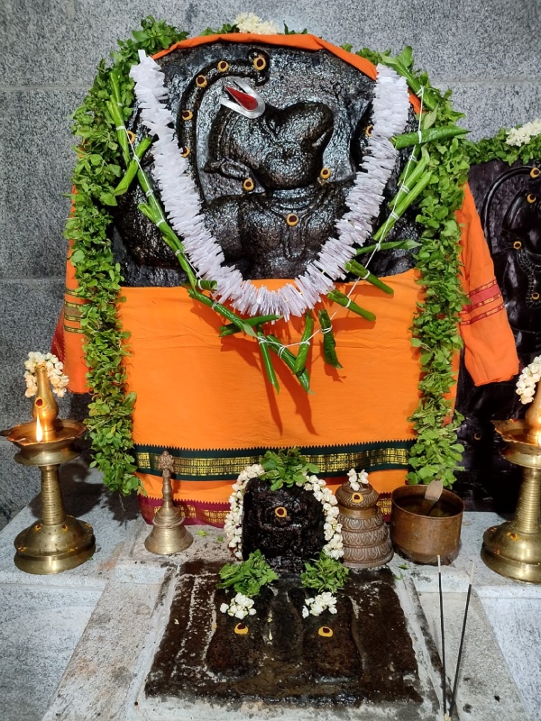 சனி தோஷம் நீங்கும் சனி தோஷம் நீங்கும்